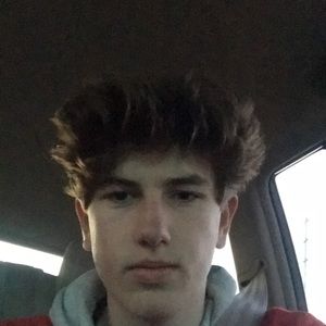 Meet your Posher, Owen